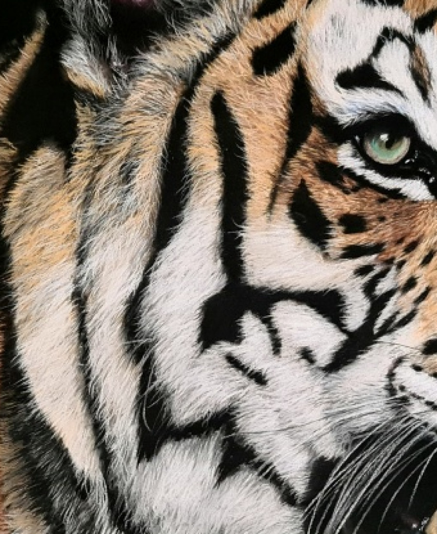 Detail 2 of Tiger by Deimante Bruzguliene