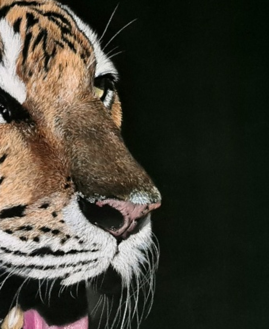 Detail 3 of Tiger by Deimante Bruzguliene